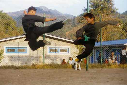 Kung Fu Training