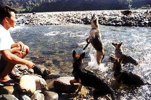 Tgliches Training der Rettungshunde – Baden inclusive!