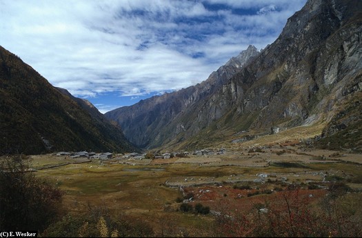 Langtang Valley