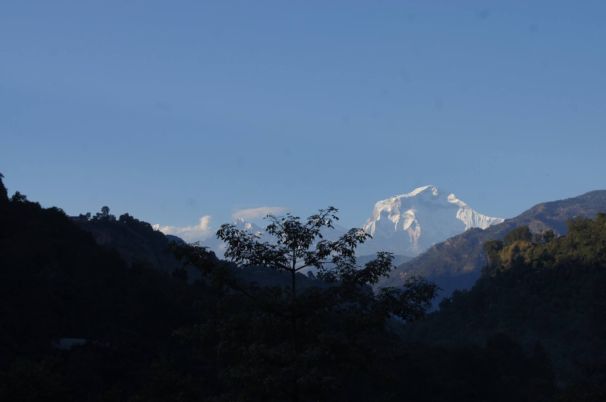 Dhaulagiri